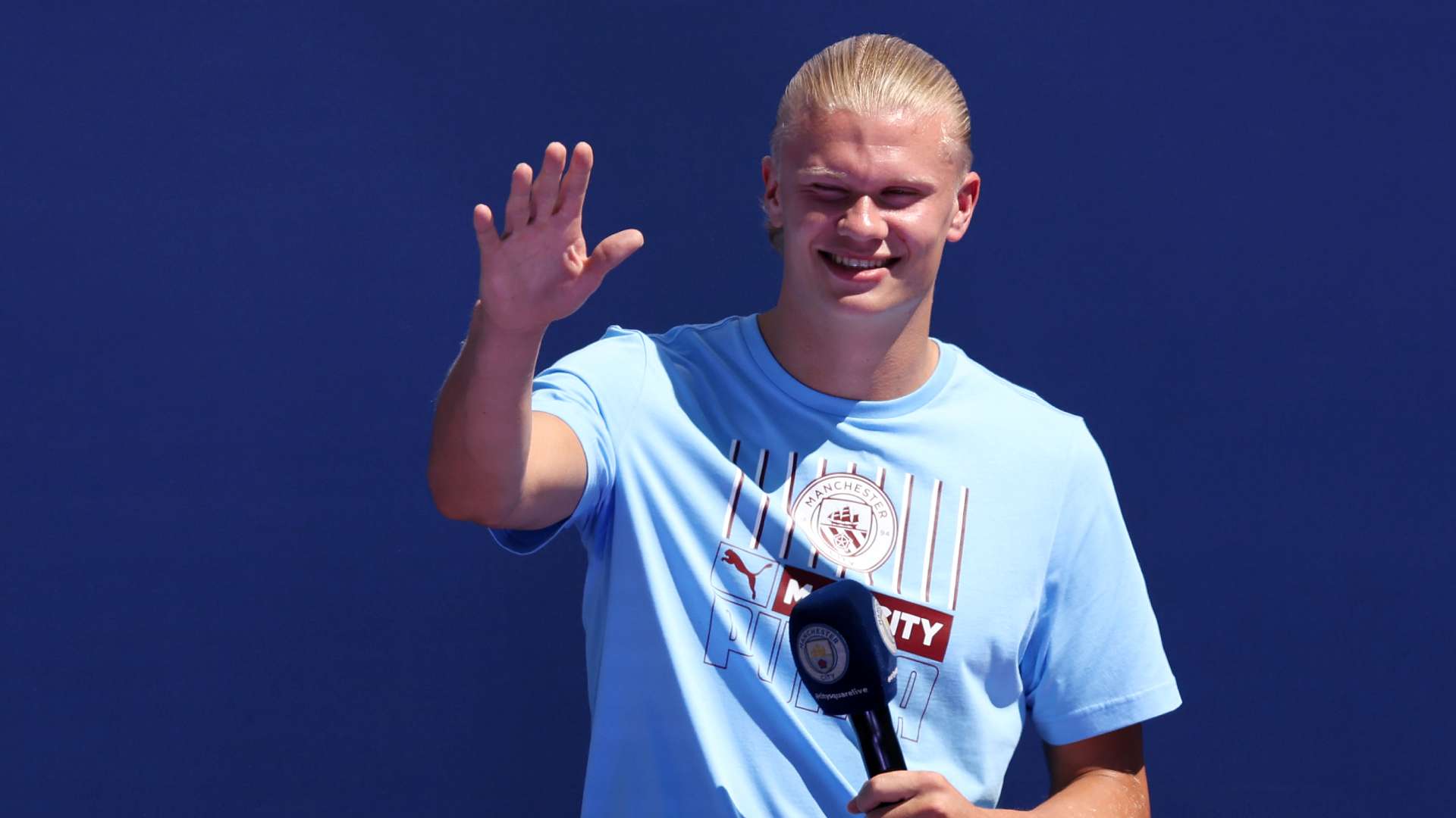 安排虽是独 安排虽是独